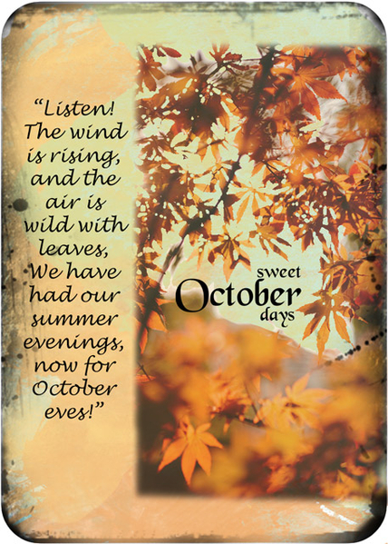 Sweet October Days