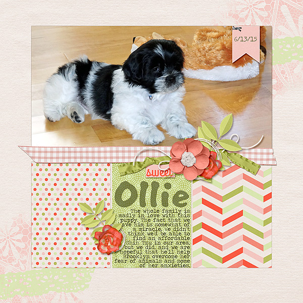 Sweet Ollie