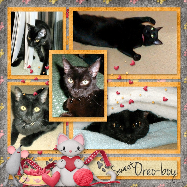 Sweet Oreo-Boy