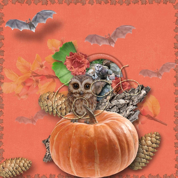 Sweet Owl