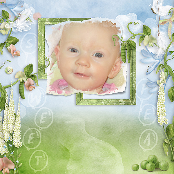 Sweet Pea