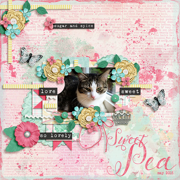 sweet pea