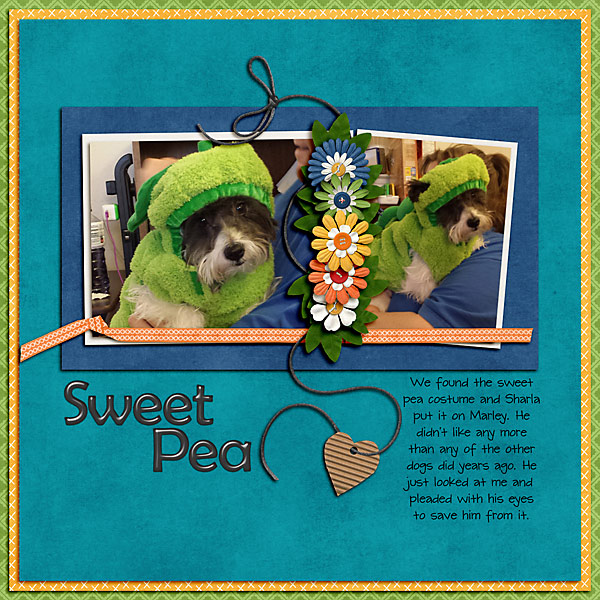 Sweet Pea