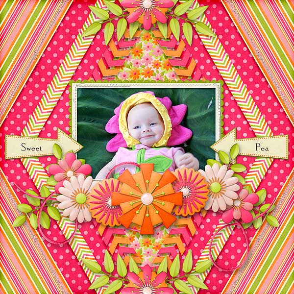 Sweet Pea