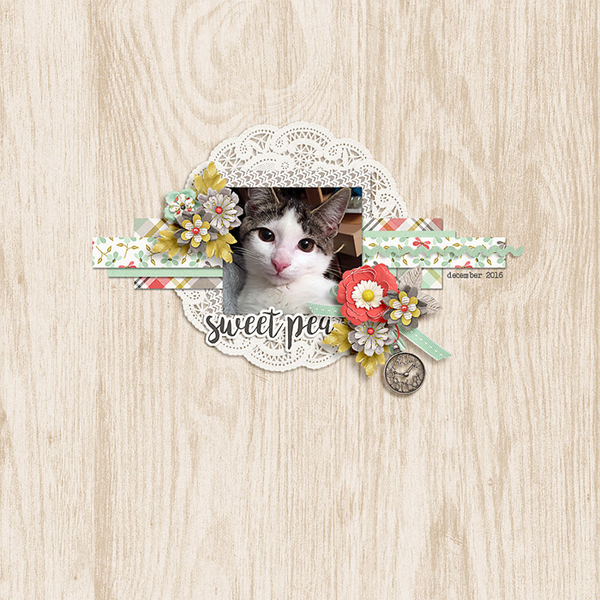 Sweet pea