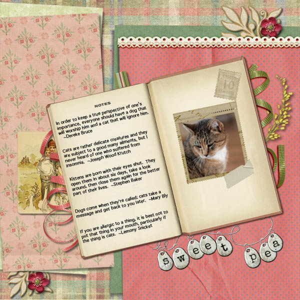 Sweet Pea