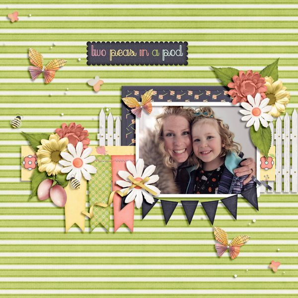 Sweet pea