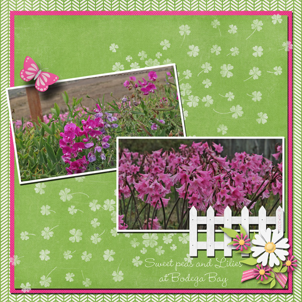 Sweet Peas and Lilies