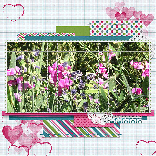 Sweet Peas