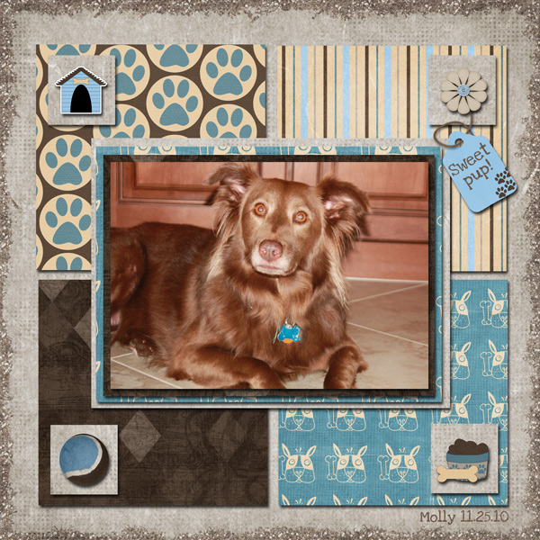 Sweet pup!