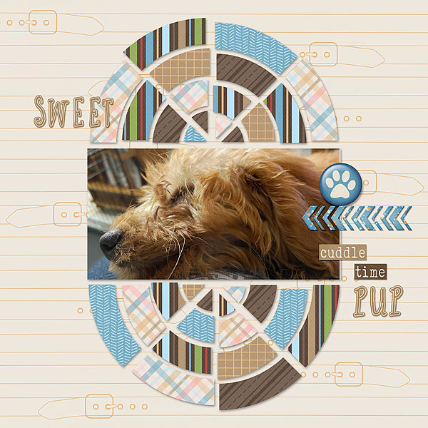Sweet Pup