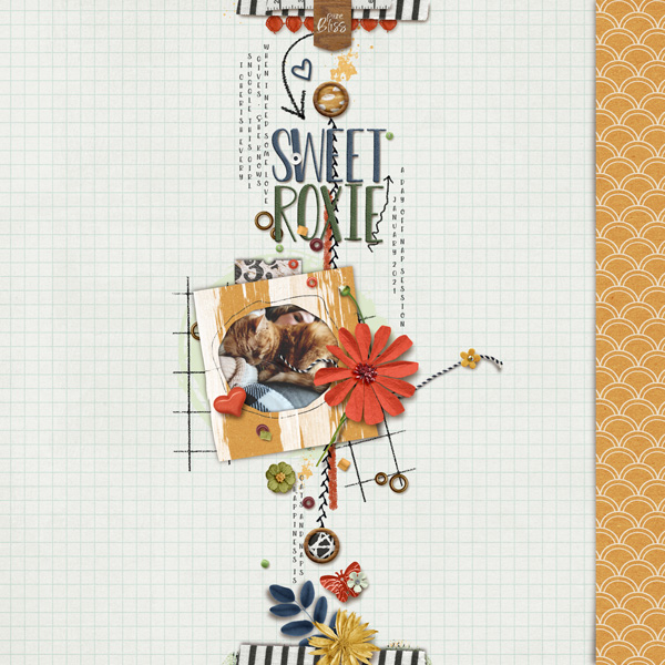 Sweet Roxie | Jan 2021