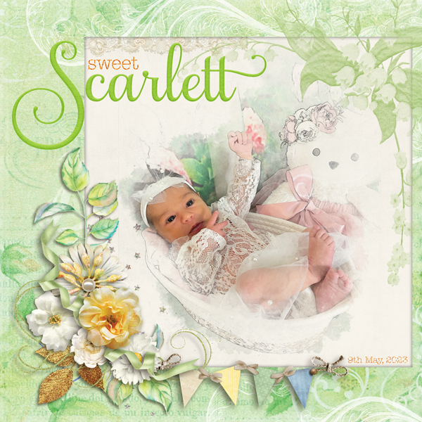 Sweet Scarlett