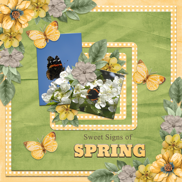 Sweet Signs of SPRING