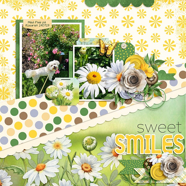 Sweet Smiles