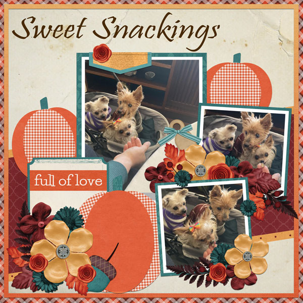 Sweet Snackings