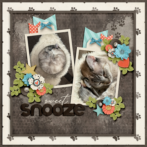 ~Sweet Snooze~