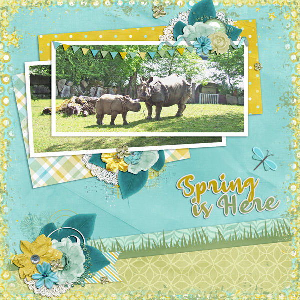 sweet spring 2014