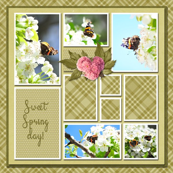 Sweet Spring Day