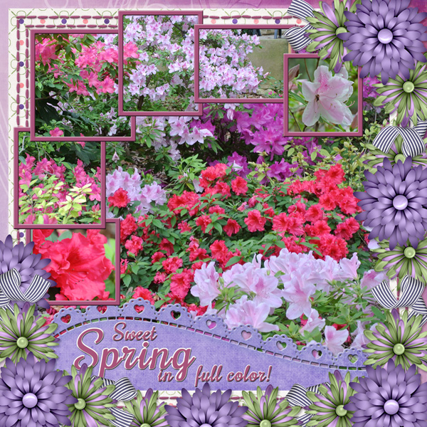 Sweet Spring in full color!