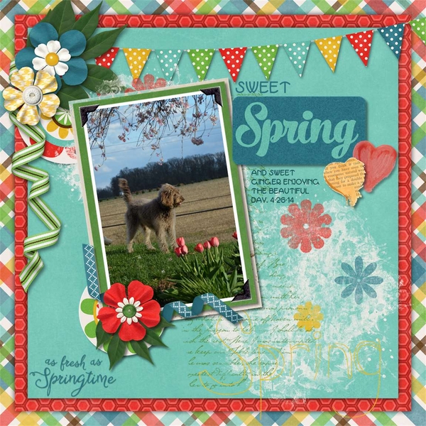 sweet Spring