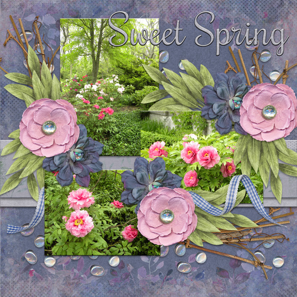 Sweet Spring