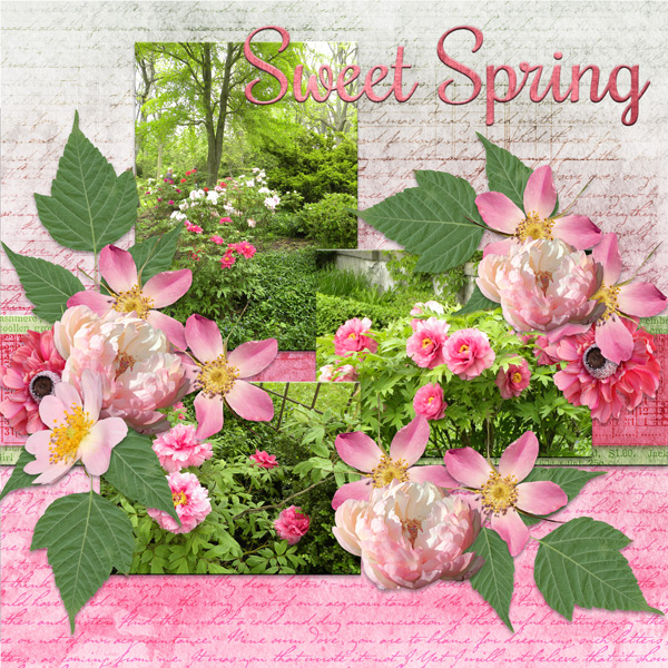 Sweet Spring