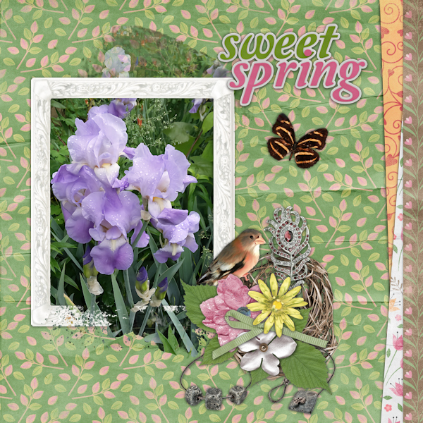 Sweet Spring