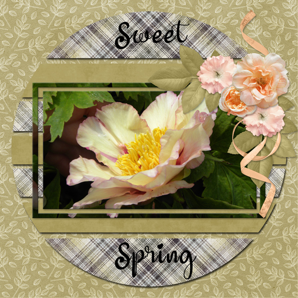 Sweet Spring