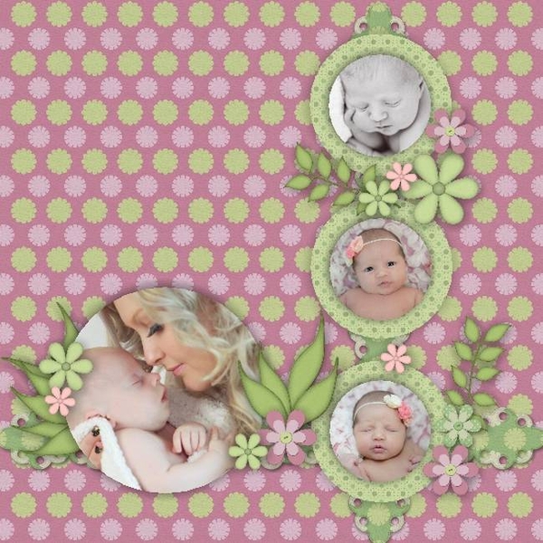 sweet springtime d