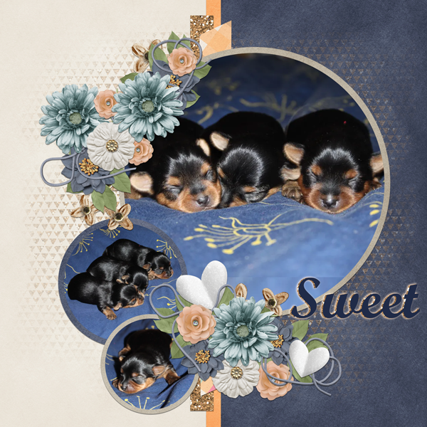 Sweet Stars I