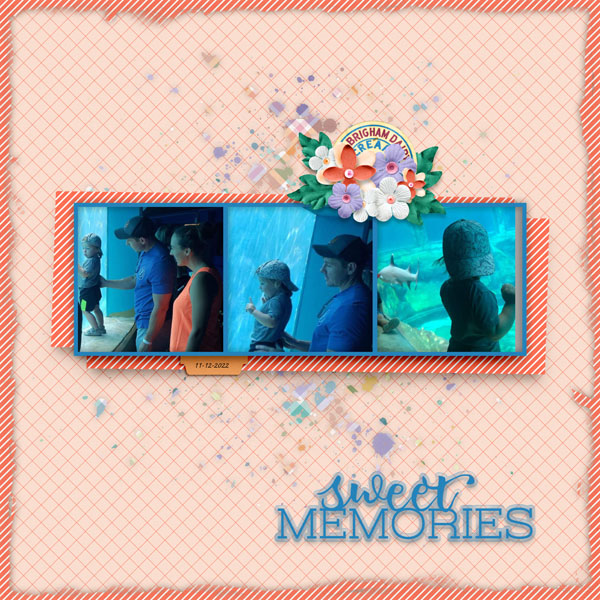 Sweet Summer-jconlon Template # 3 Challenge