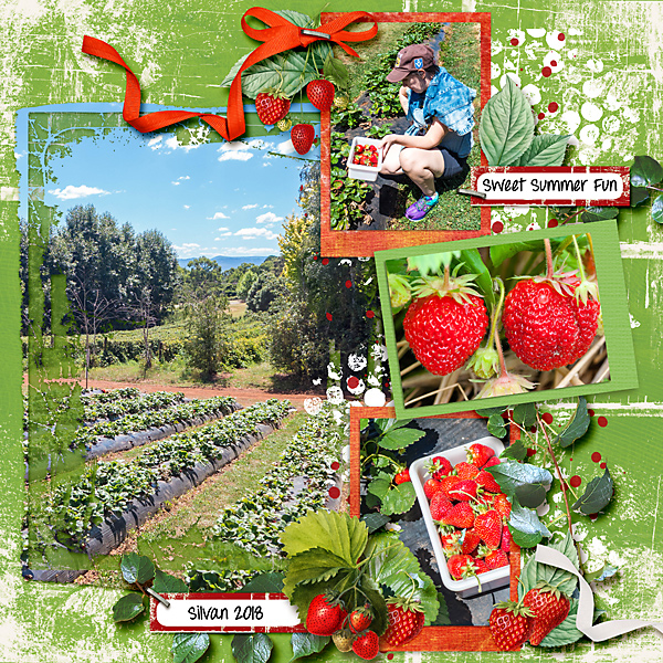 Sweet Summer Strawberries