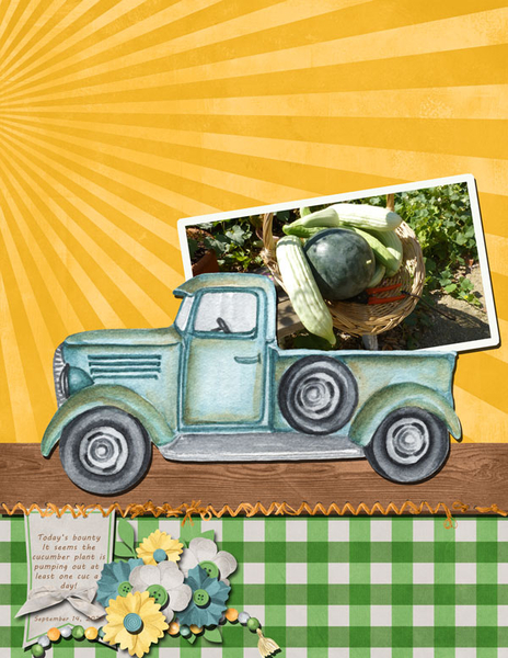 Sweet Summer