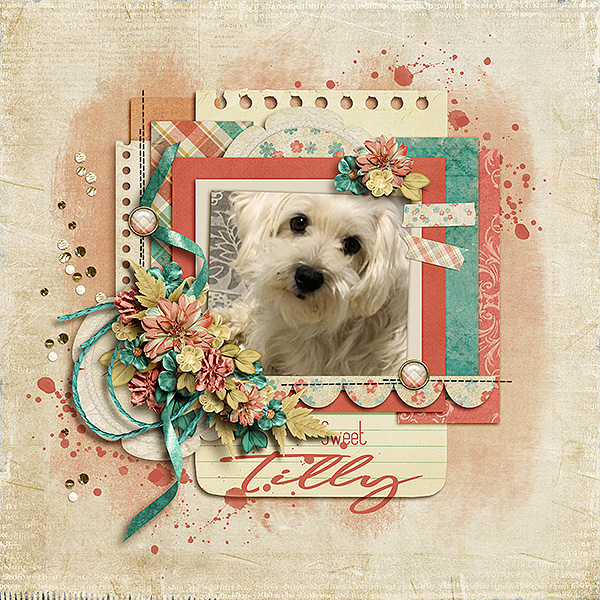 Sweet Tilly