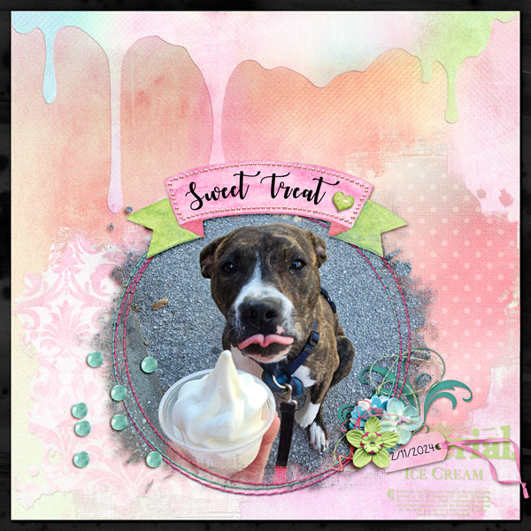 Sweet Treat