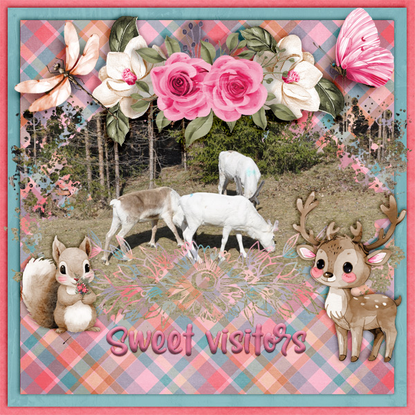 Sweet-visitors