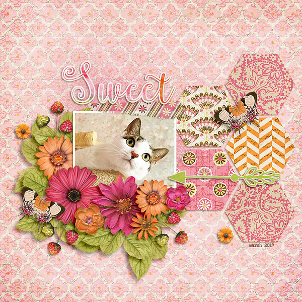 sweet