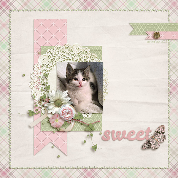 sweet