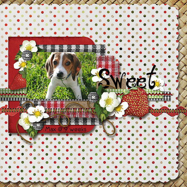 Sweet