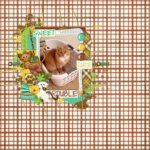 Sweet_Cute_Trouble