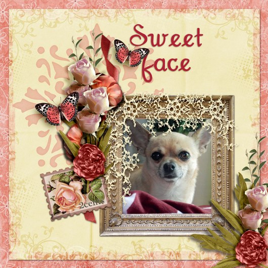 Sweet_face1