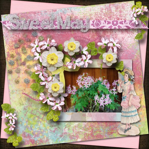 Sweet_May