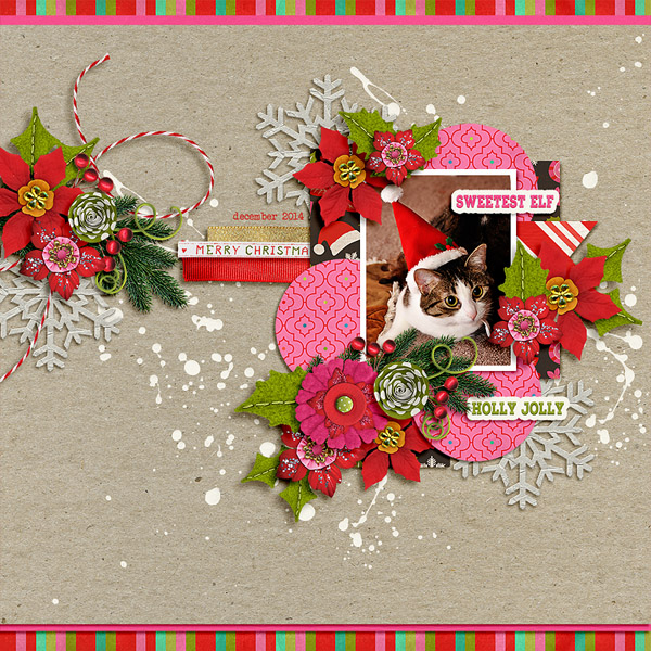 sweetest elf
