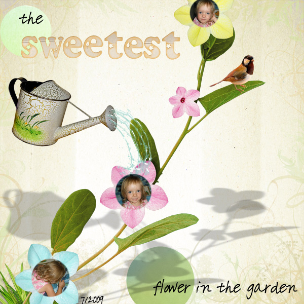 sweetest flower