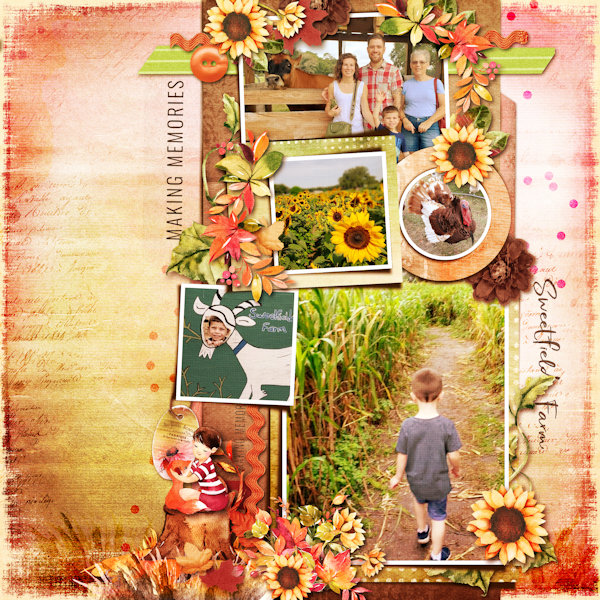 Sweetfields Farm