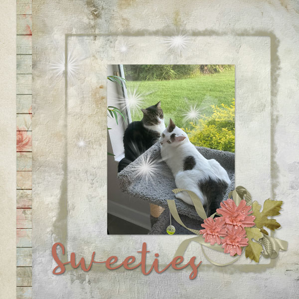 Sweeties
