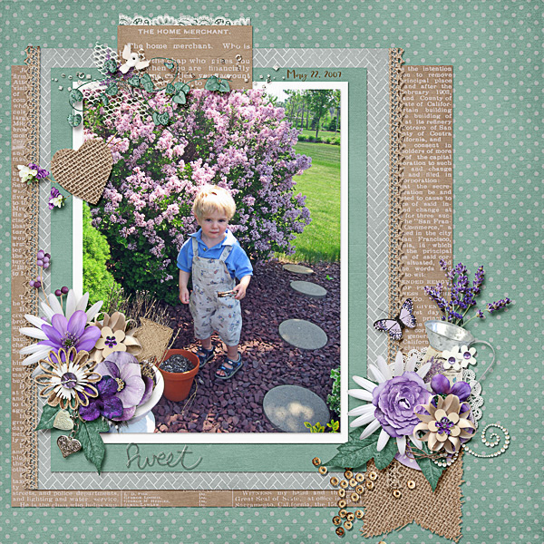 Sweetness among the Lilacs
