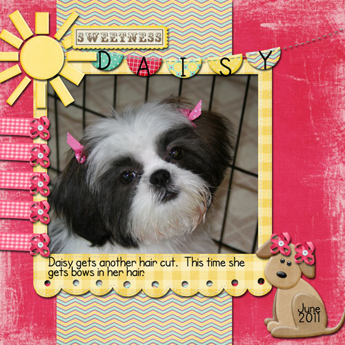 Sweetness Daisy