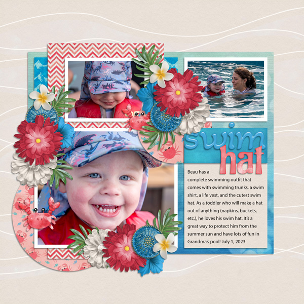 Swim Hat
